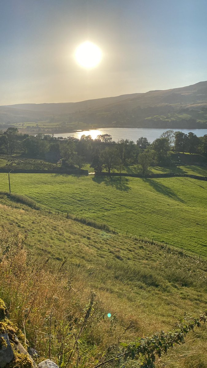 HighBleanBandB's tweet image. Setting sun in Raydaleside with a Sherry cask whisky and some bird company!