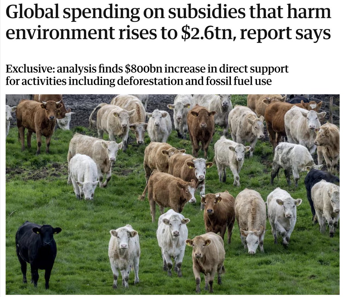 New research supported by @BfNcoalition reveals the world is spending at least $2.6 trillion/yr on harmful subsidies. This is accelerating the destruction of ecosystems.

At <a href="/UNBiodiversity/">UN Biodiversity</a> #COP16 we need governments to step up efforts to deliver a #NaturePositive economy through