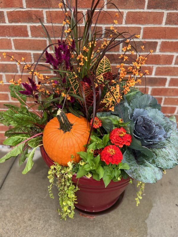 HopeLutheranKC's tweet photo. The gorgeous flowers for the fall carnival were donated by Raised Roots. Thank you for sharing your talents with us and making our property look wonderful. 🌺🪴🍂 #hopefamily #flowers #hopelutheranschool #fallcarnival https://t.co/jH35qOh6iZ