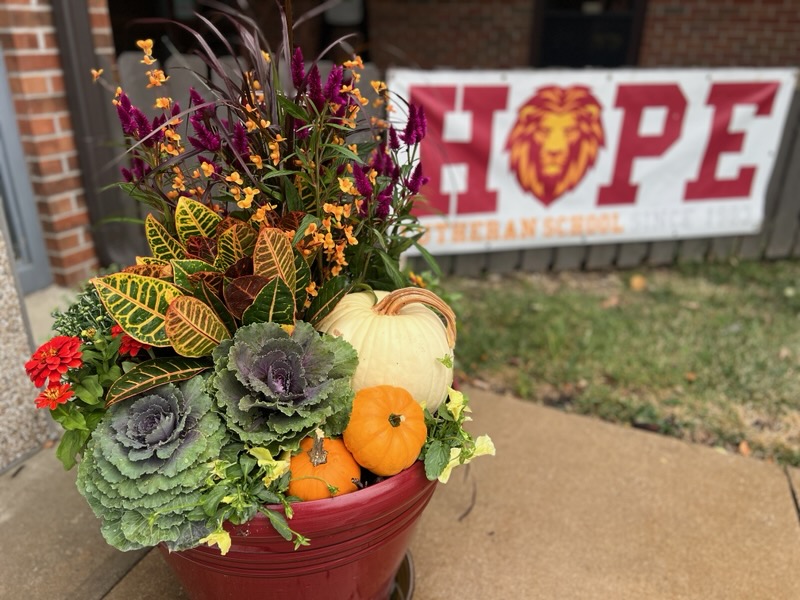 HopeLutheranKC's tweet photo. The gorgeous flowers for the fall carnival were donated by Raised Roots. Thank you for sharing your talents with us and making our property look wonderful. 🌺🪴🍂 #hopefamily #flowers #hopelutheranschool #fallcarnival https://t.co/jH35qOh6iZ