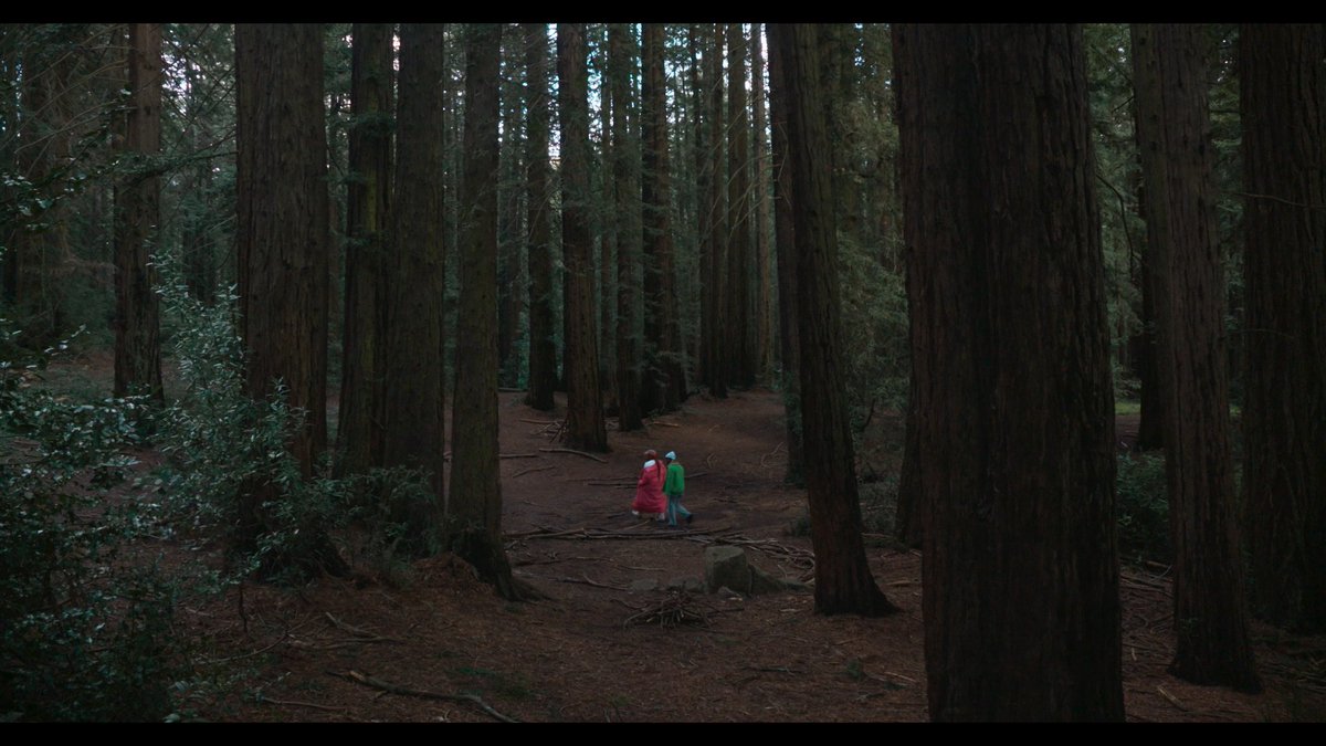 The Hollywood Reporter tweet media