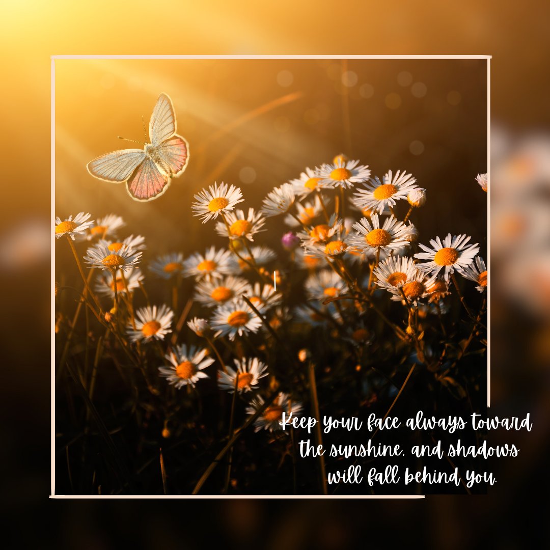 Delilahs_Corner's tweet photo. Fill your life with inspiration and motivation!

Here are some powerful quotes about life to keep you going: "In the end, it's not the years in your life that count. It's the life in your years." - Abraham Lincoln 💭

#MondayMotivation #QuotesAboutLife #Inspiration #positivevibes https://t.co/PDMaARUYE3