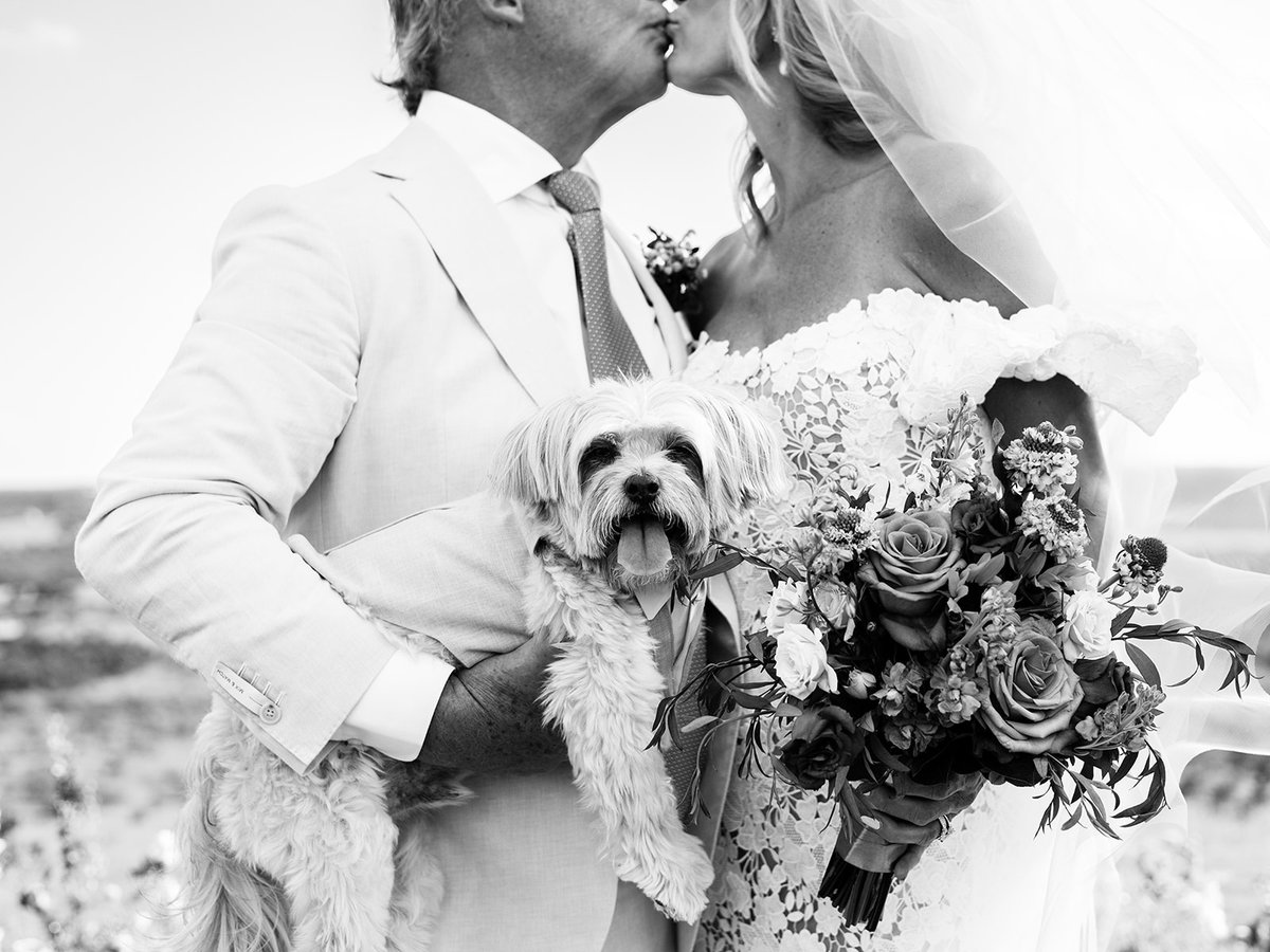 ContigoRanchFBG's tweet photo. Elegance is the only beauty that never fades ... 🖤🤍 #WeddingInspiration #BlackAndWhiteWedding #TimelessLove #ElegantWeddings #ClassicRomance #LoveInBlackAndWhite #ForeverTogether #BrideAndGroom #WeddingDay #HappilyEverAfter #ContigoRanchFredericksburg

...

@contigoranchfred... https://t.co/3rkS70JI1Z