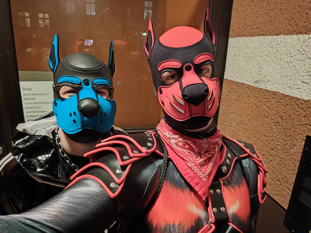 Pup Tay🇳🇱 tweet media