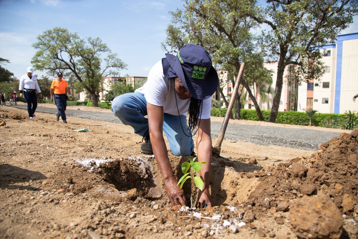 Plan Jarillón de Cali tweet media