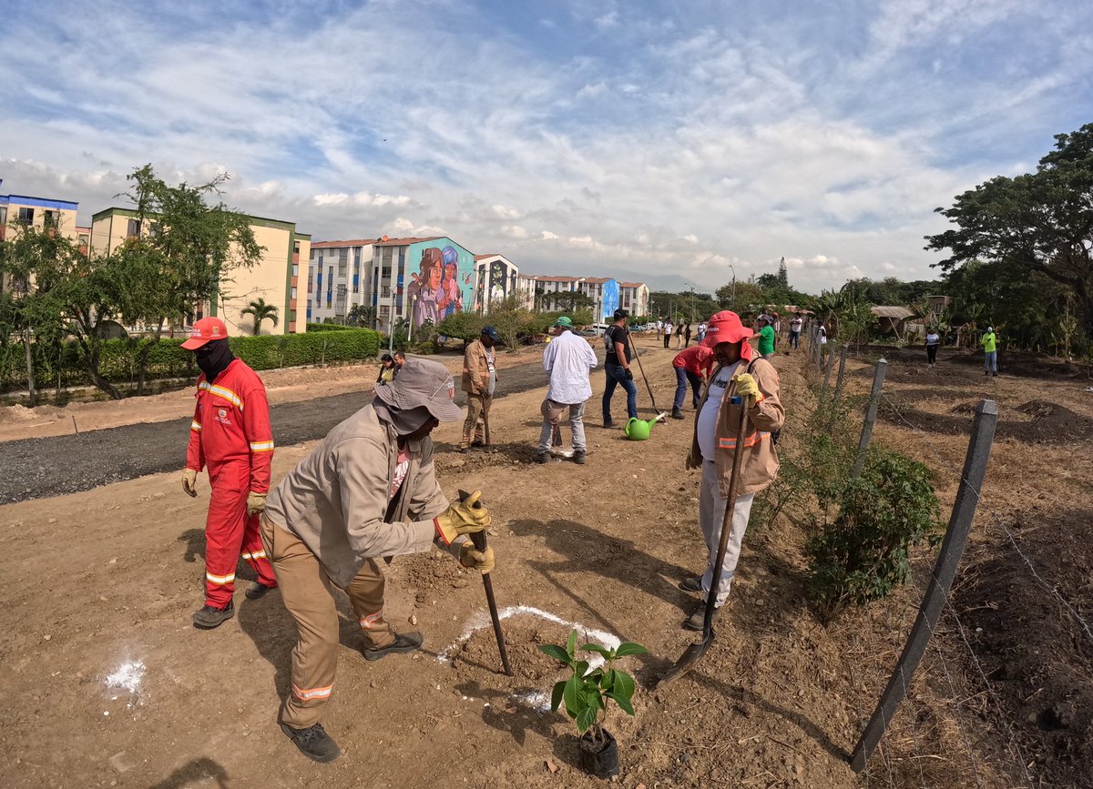 Plan Jarillón de Cali tweet media