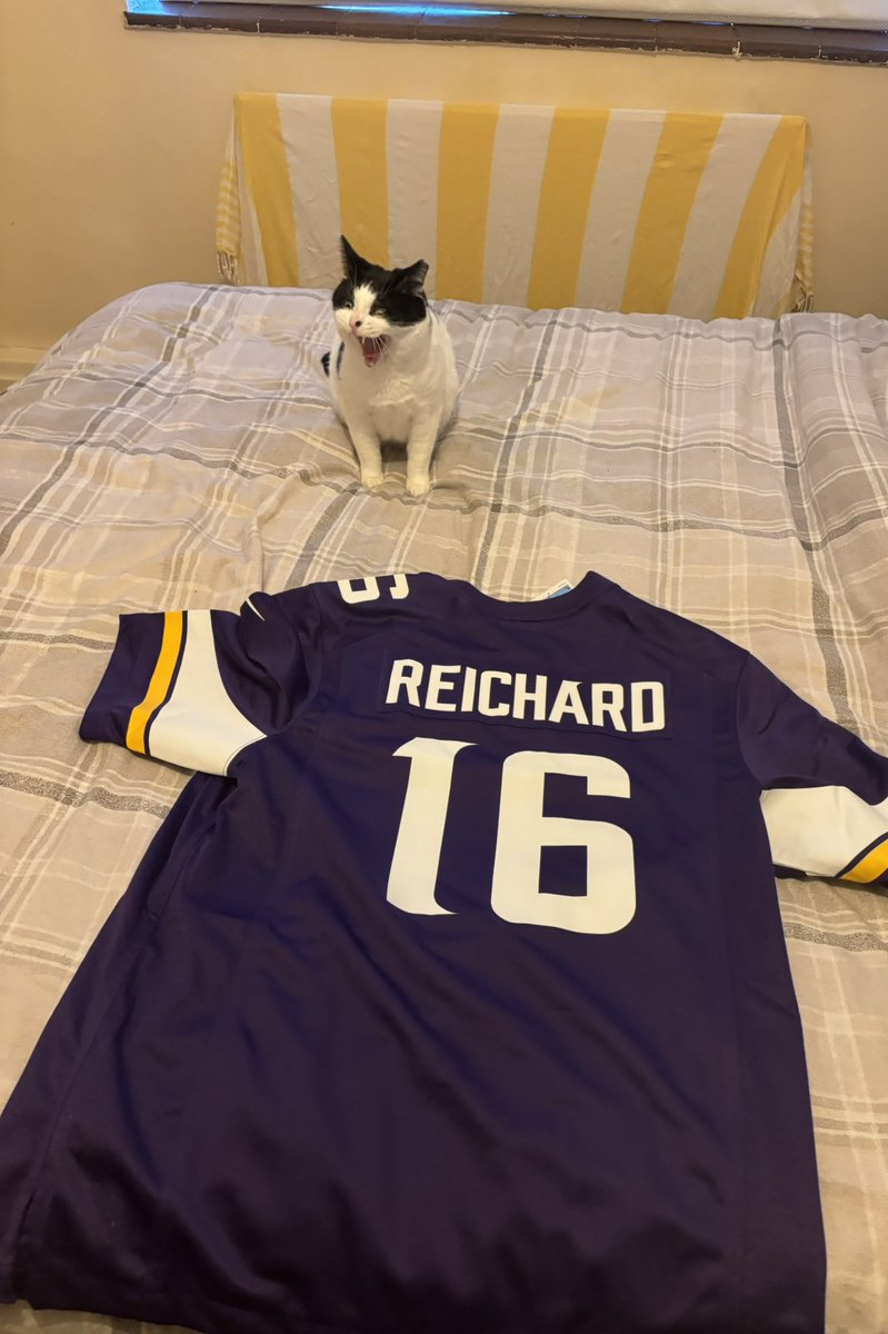 Got my <a href="/WillReichard/">Will Reichard</a> <a href="/Vikings/">Minnesota Vikings</a> jersey for the London game! Oscar the cat is clearly thrilled. <a href="/UKVikings/">Minnesota Vikings UK</a> <a href="/UKVikingsFans/">UK and Ireland Minnesota Vikings Fan Club</a> #skol #vikings
