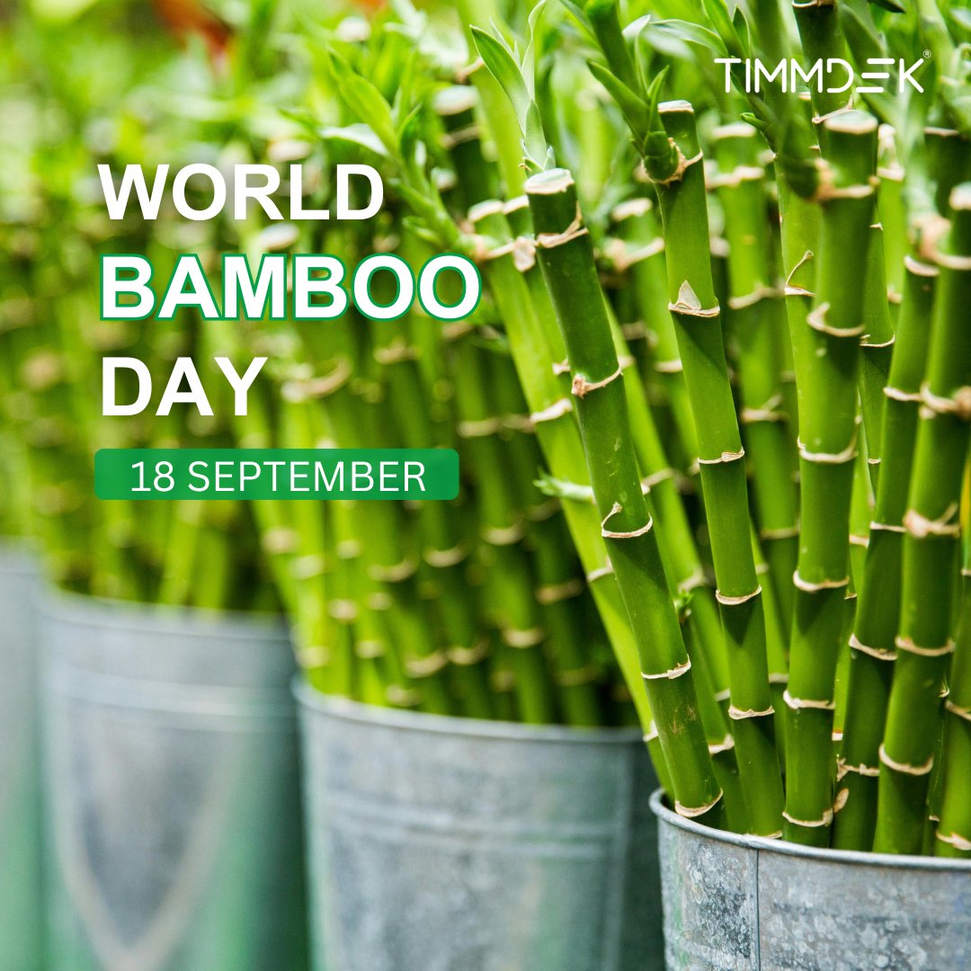Timmdek_Int's tweet photo. Happy World Bamboo Day! 🎋

Did you know that Timmdek products contain bamboo?

Unite with us in embracing sustainability and innovation through nature's versatile wonder! 

#worldbambooday #timmdek #versatility #HomeImprovement #outdoorspaces #bamboo #WoodCompositeDecking https://t.co/bzuNhZdQiG
