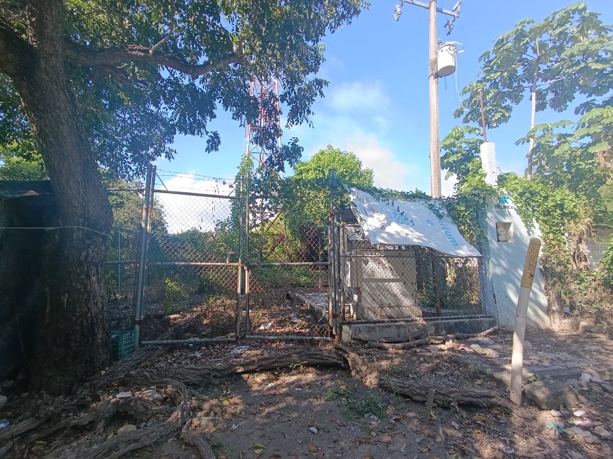 cryptochimp tweet media