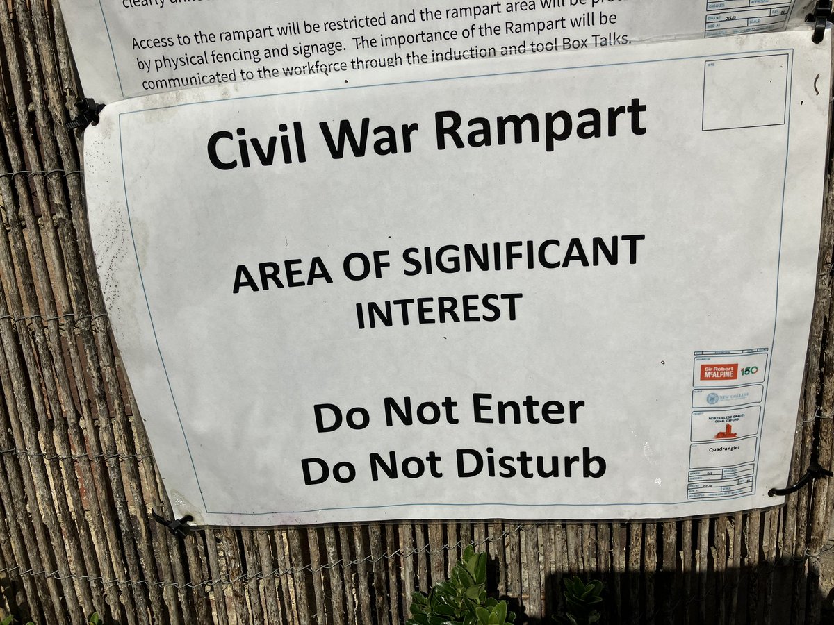 Not something you see everyday!