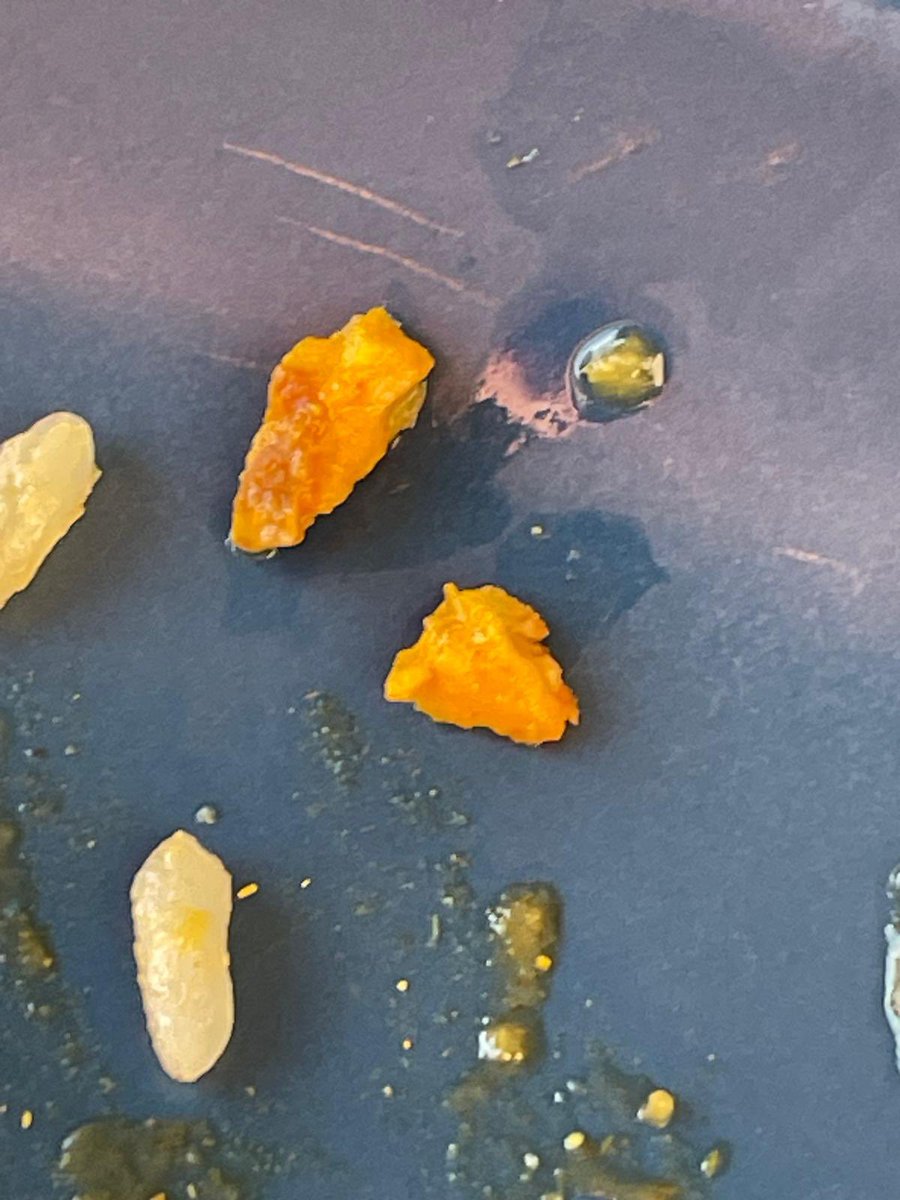 DebbieMakin5's tweet photo. @tesco. Another poor quality meal. Shards of bone in the curry I purchased. #chokinghazard #poorquality https://t.co/eNTwlIZMB2