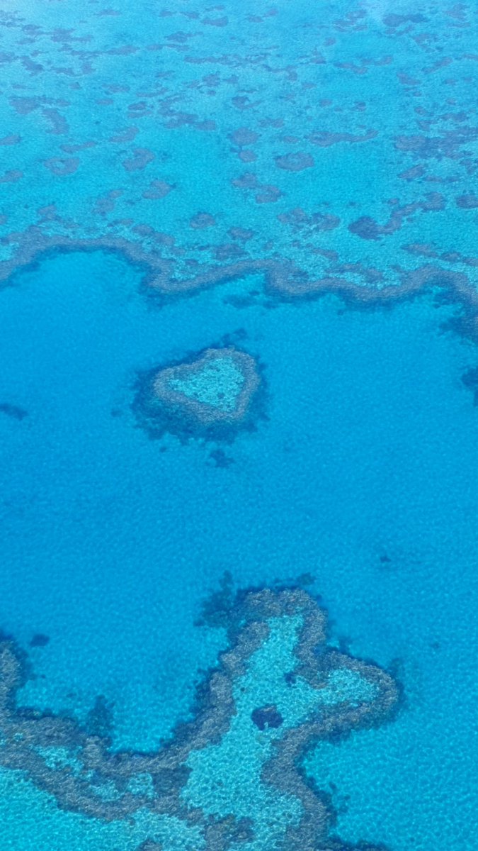 Aux cœurs en atoll
Dévoiler les récits : if..
- demain tu l'aimais !

#Haïku 

🙏🌿🙇‍♂️Y🌹⚘️