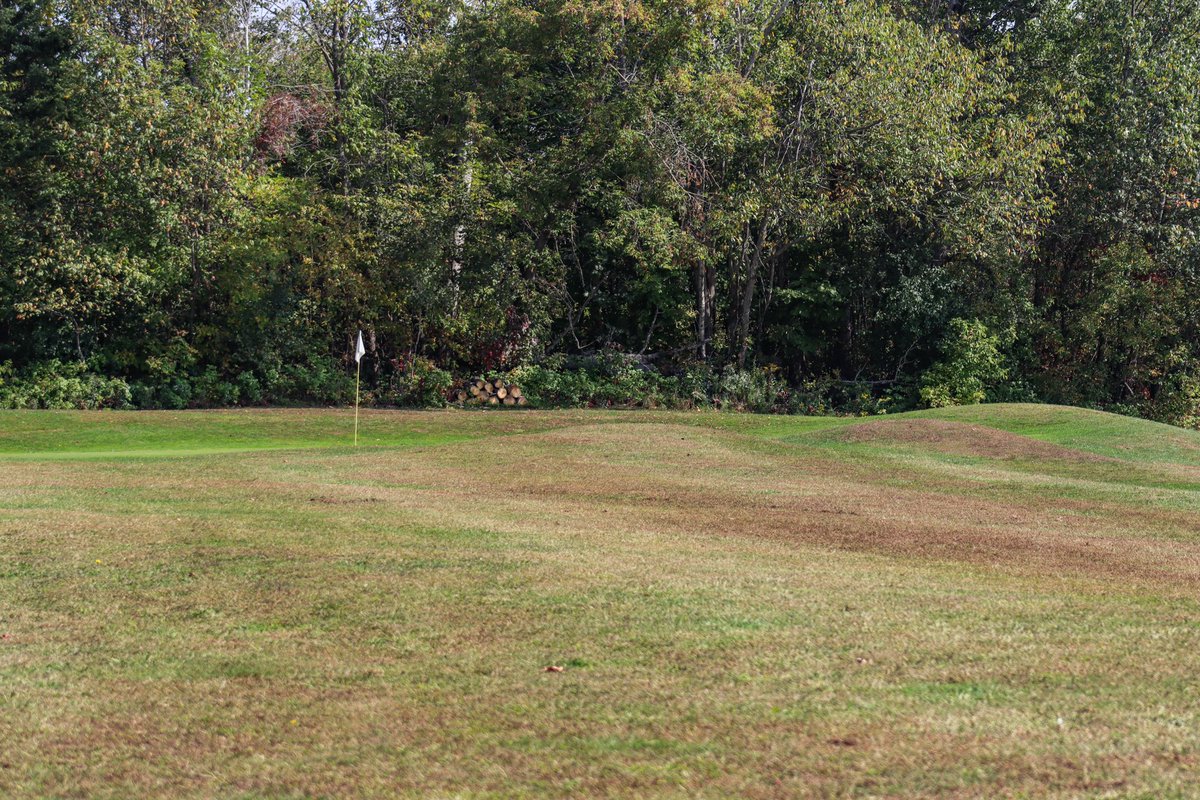 drewharvie's tweet photo. Kudos to those who brought back Norway Bay, a nine hole late 1930s collaboration between Stanley Thompson and Robert Trent Jones Sr. It is not the most exciting layout, but nice to see a community piece revived and a unique part of the Thompson/Jones drama saga. https://t.co/M52R3g5VZY