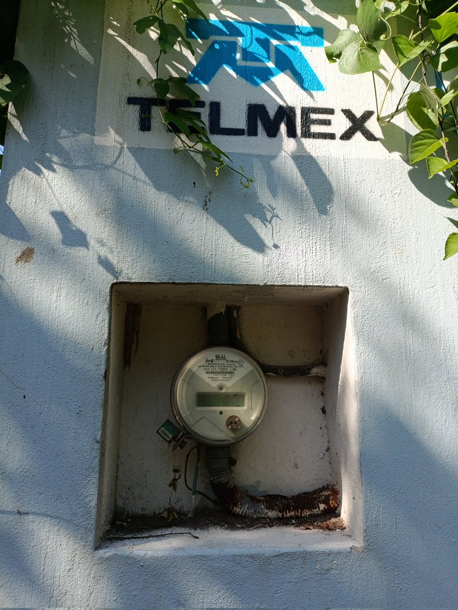 cryptochimp tweet media