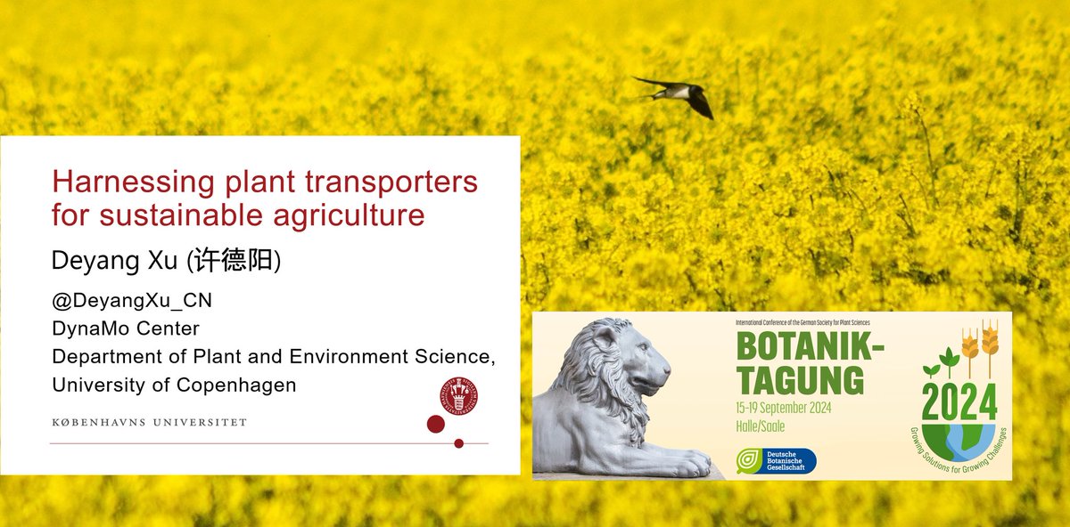 Deyang Xu (@deyangxu_cn) on Twitter photo My first keynote speech <a href="/BT2024DBG/">Conference of the German Society f. Plant Sciences</a> <a href="/UniHalle/">Universität Halle (inaktiv)</a> is on plant transporters for sustainable agriculture. Thanks, Prof. Ute Wittstock for the invitation, it was my great honour to present to such a great crowd. #BT2024DBG My first keynote speech <a href="/BT2024DBG/">Conference of the German Society f. Plant Sciences</a> <a href="/UniHalle/">Universität Halle (inaktiv)</a> is on plant transporters for sustainable agriculture. Thanks, Prof. Ute Wittstock for the invitation, it was my great honour to present to such a great crowd. #BT2024DBG