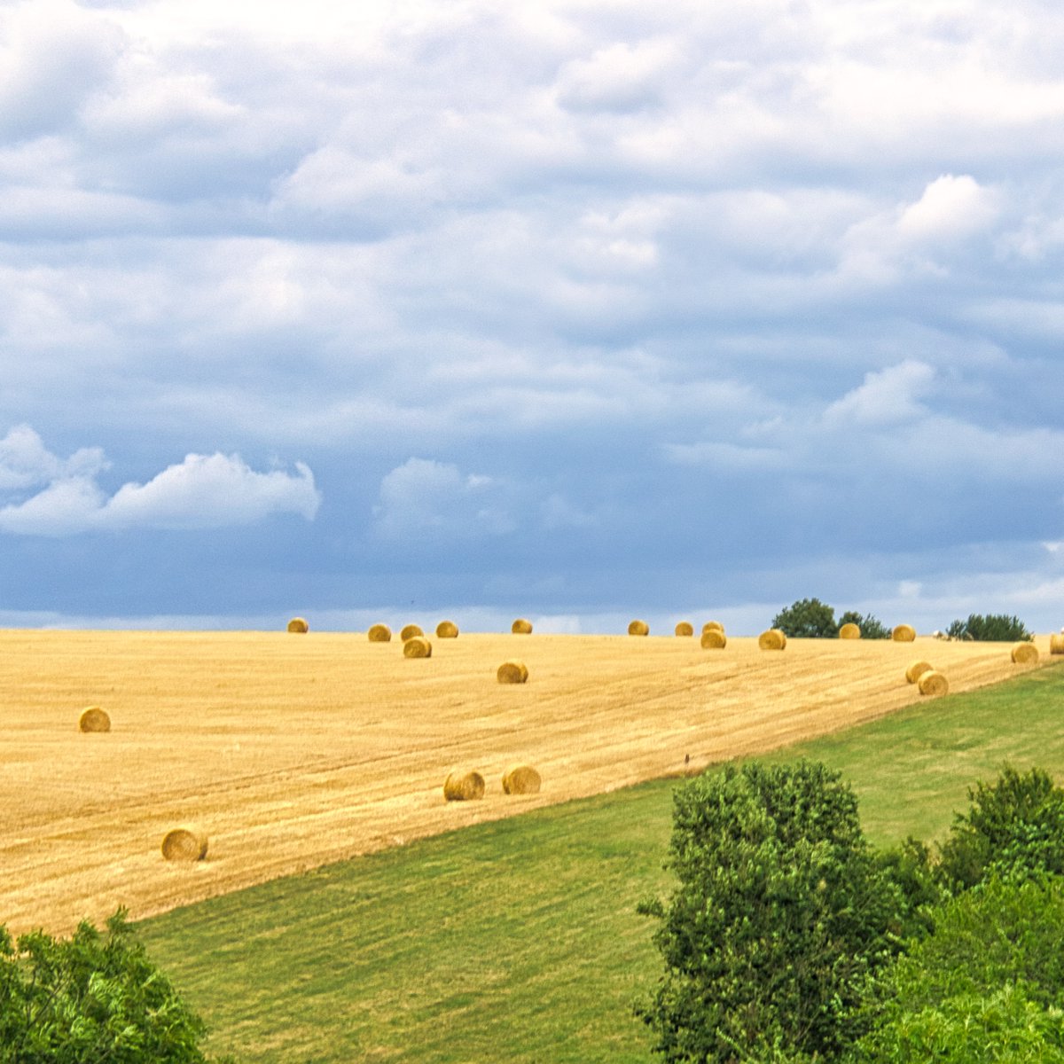 🍁 La calidad, el valor nutritivo y la versatilidad de los granos canadienses los convierten en ingredientes esenciales para los mejores alimentos, comidas para mascotas y bebidas. Conoce todas las bondades que los cereales canadienses pueden ofrecer 🌾:  saboresdecanada.mx/productos.php?…