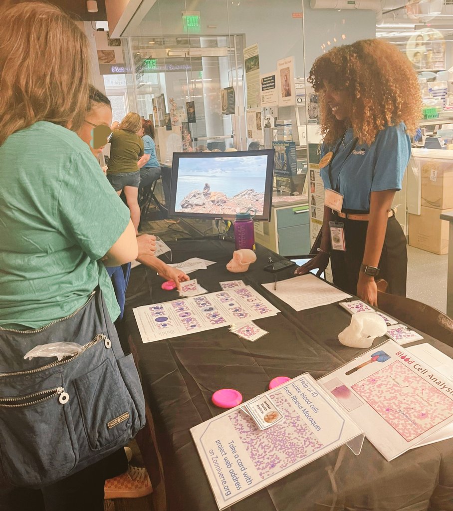 Cayo Santiago's Colony Manager participated in BugFest at the North Carolina Museum of Natural Sciences, sharing insights about rhesus macaques and the #MonkeyHealthExplorer program. It was a great opportunity for community outreach, engaging both kids and adults! 🐒🌿