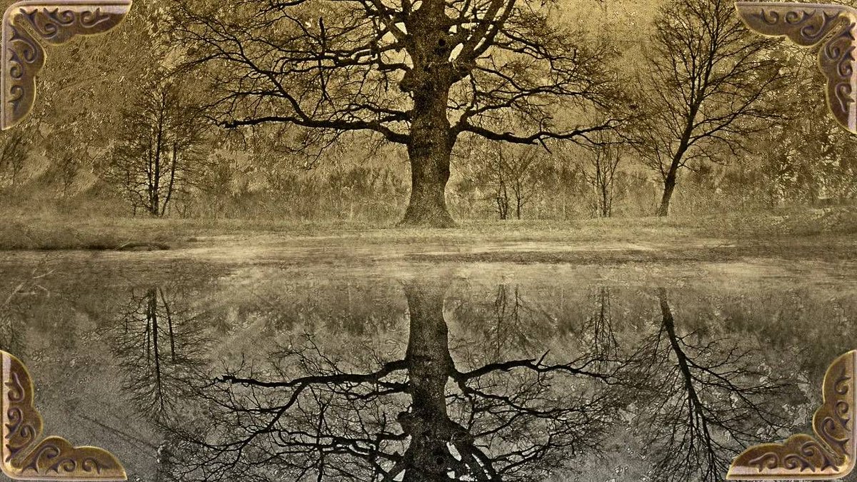 🌗 Balance, Magic &amp; You! 🌗 Join us for 60 magical minutes of Equinox insights, spells, and a soothing guided meditation. Plus, your astrology forecast for the season ahead—because who doesn't want a cosmic cheat sheet? ✨🌿 #EquinoxMagic buff.ly/3MR3Bya