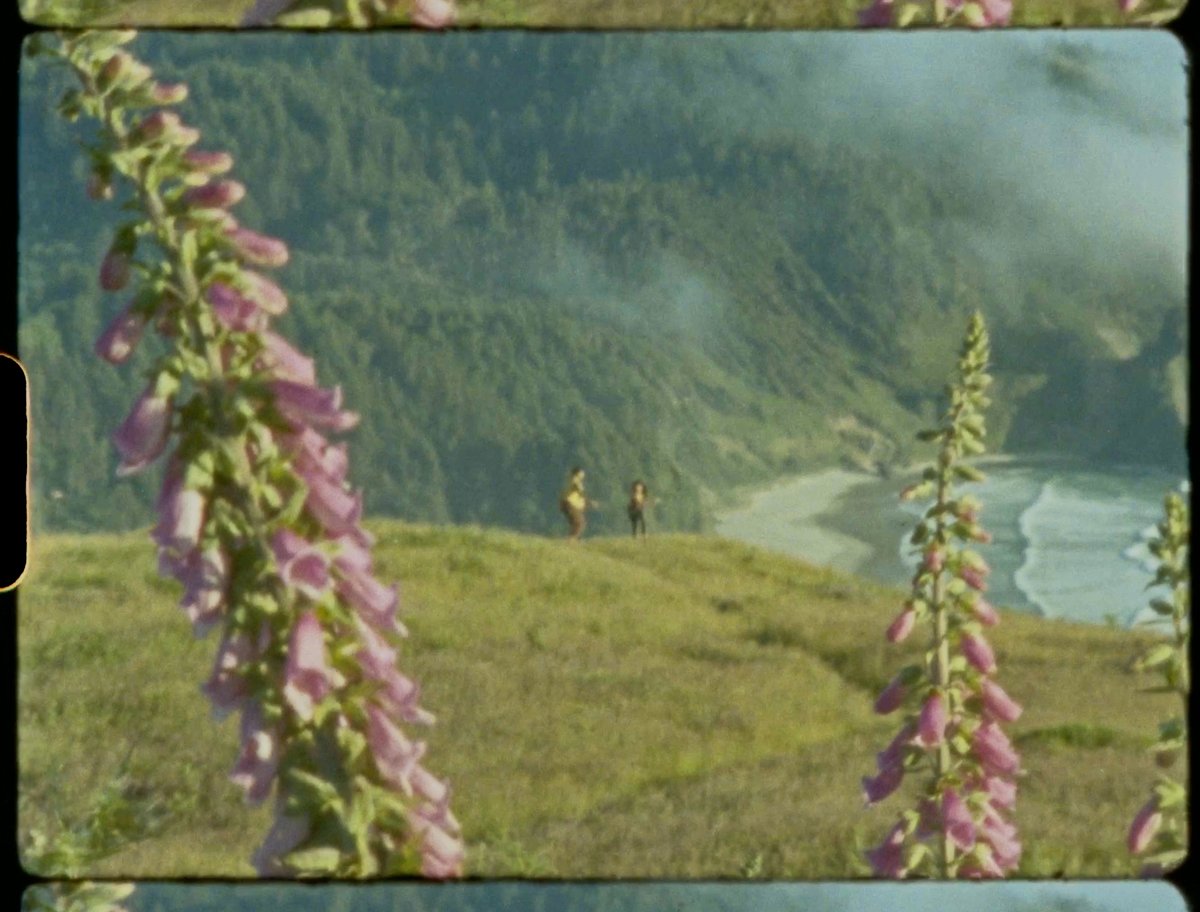 Haley Heynderickx (@hhhendrixx) on Twitter photo 1/2) we present to you "Foxglove", shared via dance (and whittling) through the eyes of my friend Evan Benally Atwood on a Super 8 camera.
watch/listen: MamaBird.lnk.to/MB066
oh and new album coming Nov 1st on <a href="/MamaBirdRC/">Mama Bird Recording Co.</a>. eep! 1/2) we present to you "Foxglove", shared via dance (and whittling) through the eyes of my friend Evan Benally Atwood on a Super 8 camera.
watch/listen: MamaBird.lnk.to/MB066
oh and new album coming Nov 1st on <a href="/MamaBirdRC/">Mama Bird Recording Co.</a>. eep!