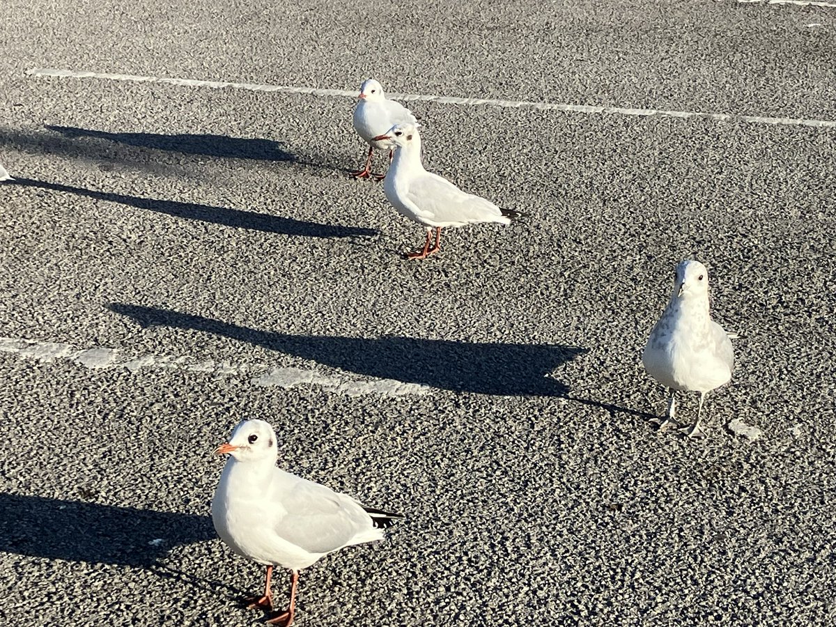 Aidan Smith tweet media