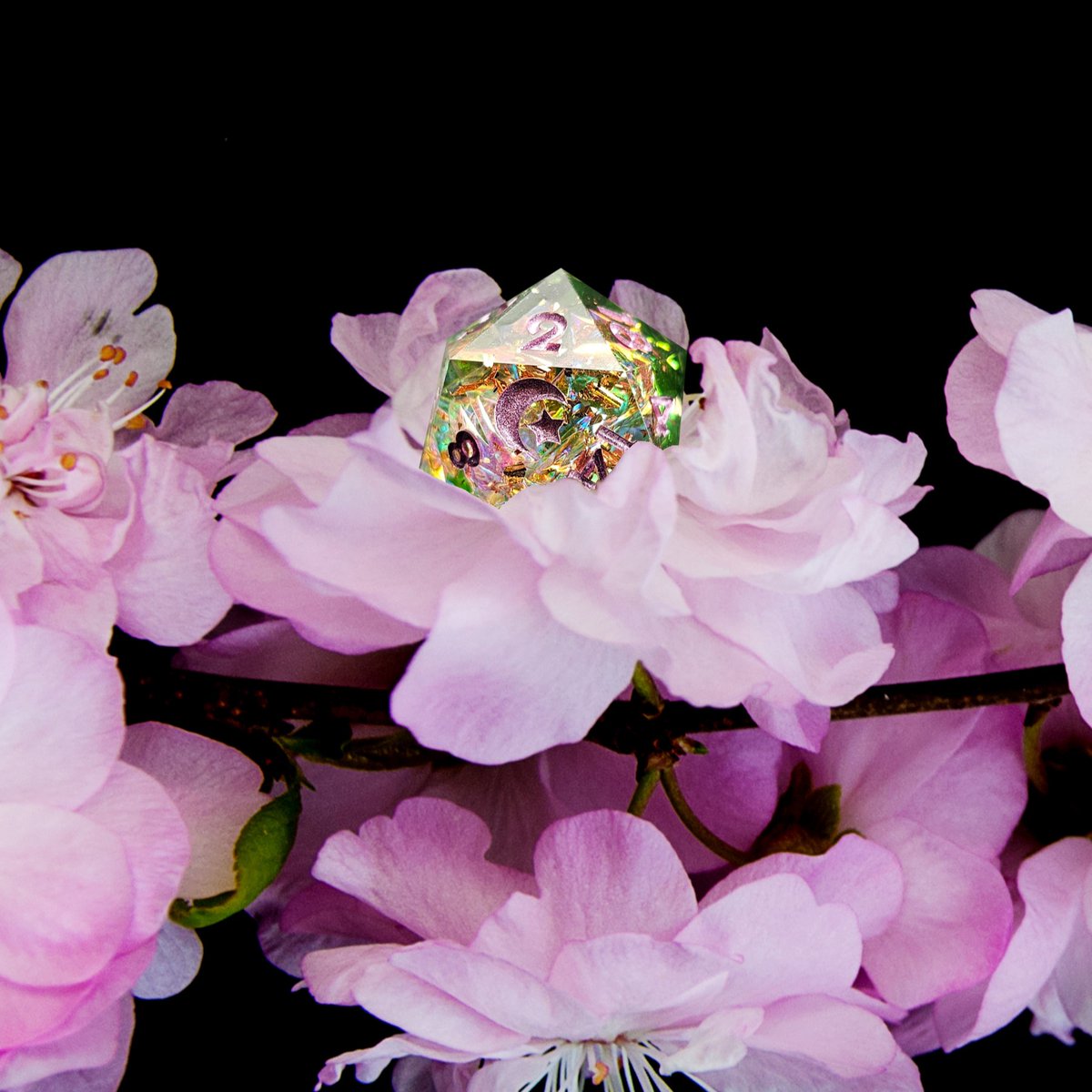 Aesthetic🌸💚
#dnd #dnd5e #dungeonsanddragons #ttrpg #dnddice #dice #aesthetic #RPG #rpggames #roleplayinggames #tabletopgames #polyhedraldice #rpgdice #dicelove #diceporn #dicemaking #resinart #handmadedice #pinkdice #cherryblossom #blossom #spring #summer #naturebeauty