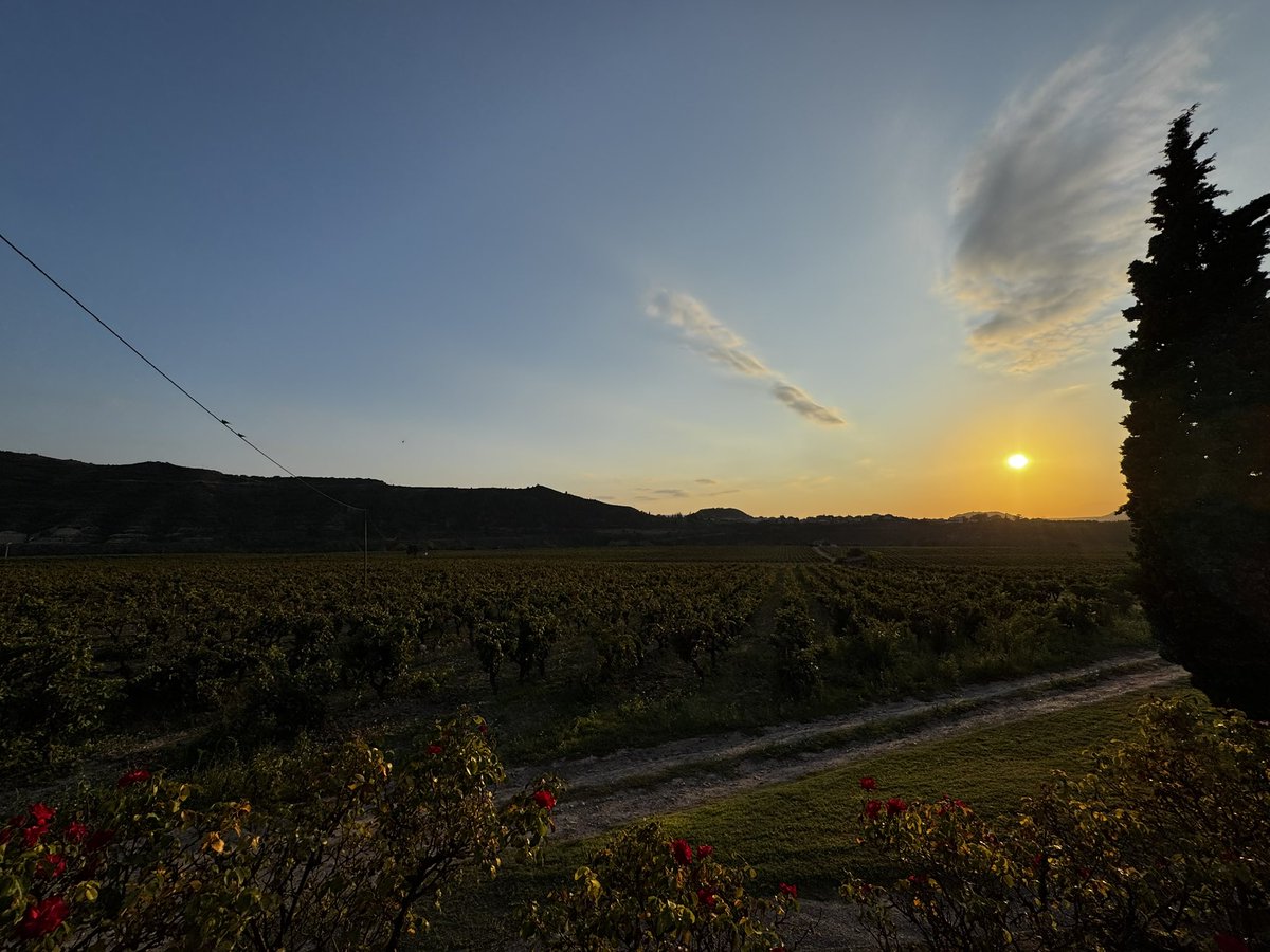 Thomas Kalhøj Clemensen tweet media
