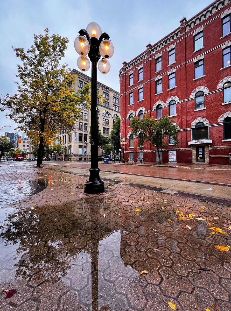 After the rain 
#winnipeg #rain #photography