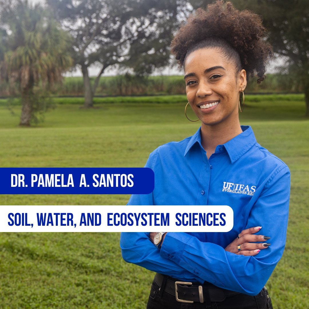 UF IFAS Everglades REC - Belle Glade tweet media