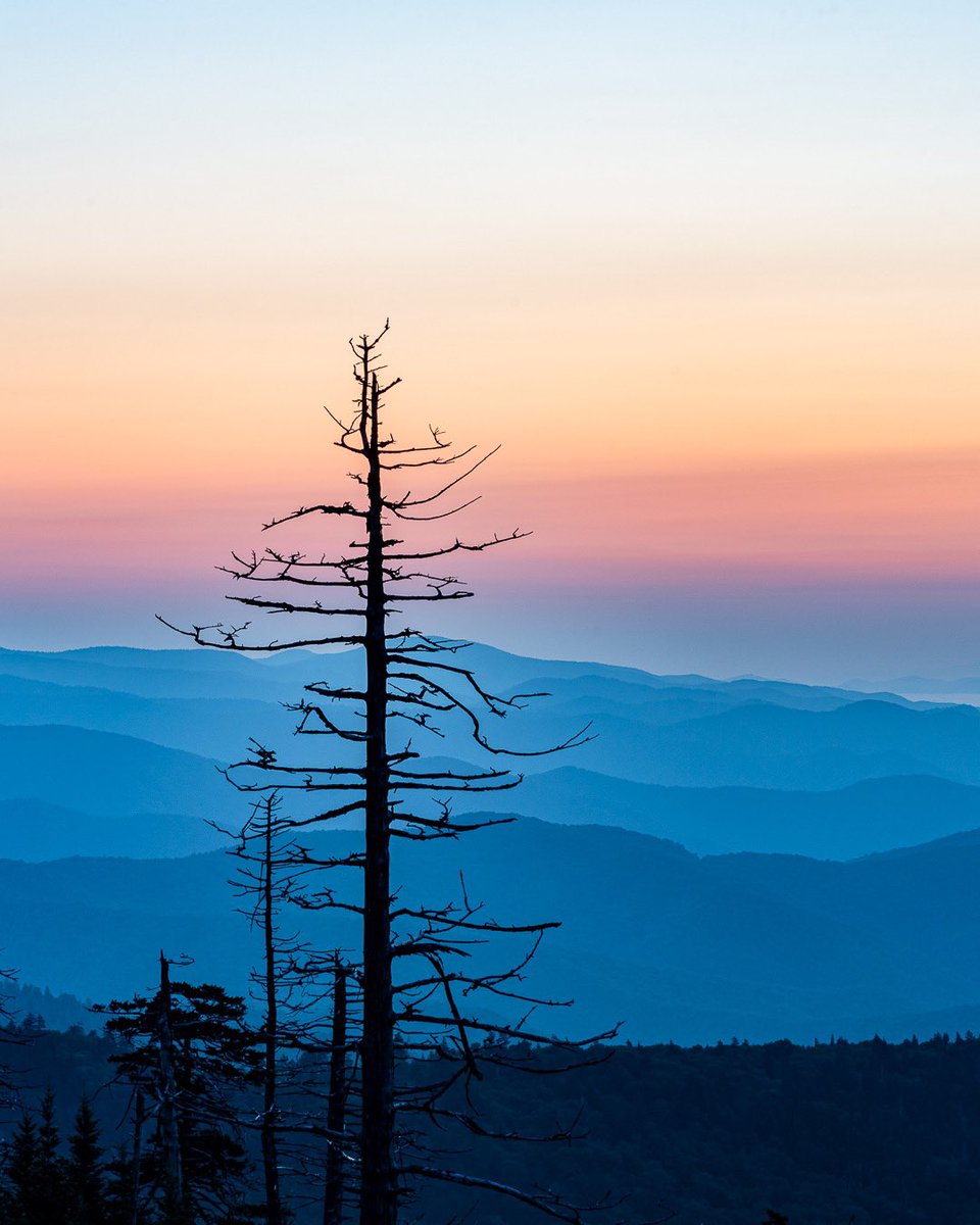 Congratulations to the Eastern Band of Cherokee and all involved on the successful renaming of Kuwohi back to Kuwohi, (which had briefly been named Clingman’s Dome).