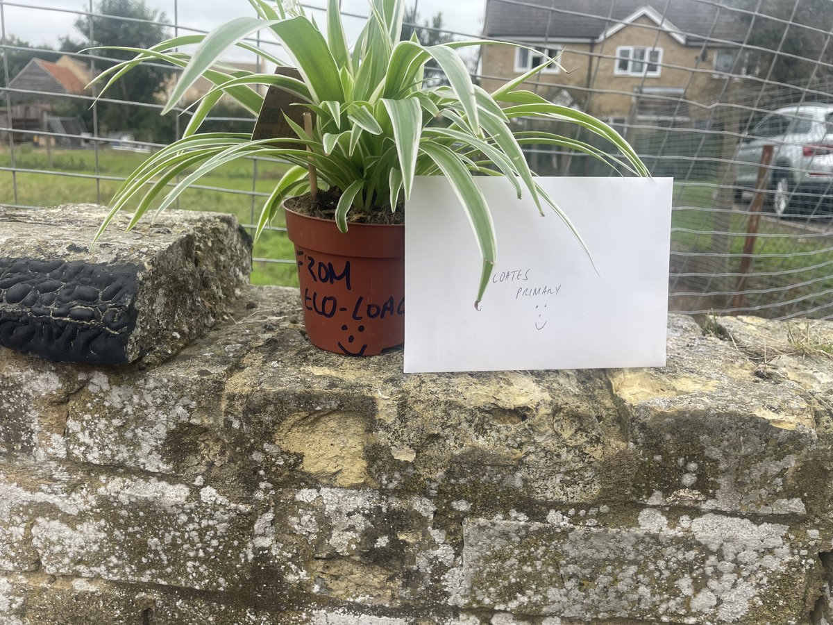 ecocoachcic's tweet image. 🌱 Today, we visited a new school with one of our special spider plants and a thank you card! For us, the spider plant symbolises growth, sustainability, and nurturing—values we live by. Enhancing a child’s physical education is an honour we never take for granted. 🌟 #EcoCoach