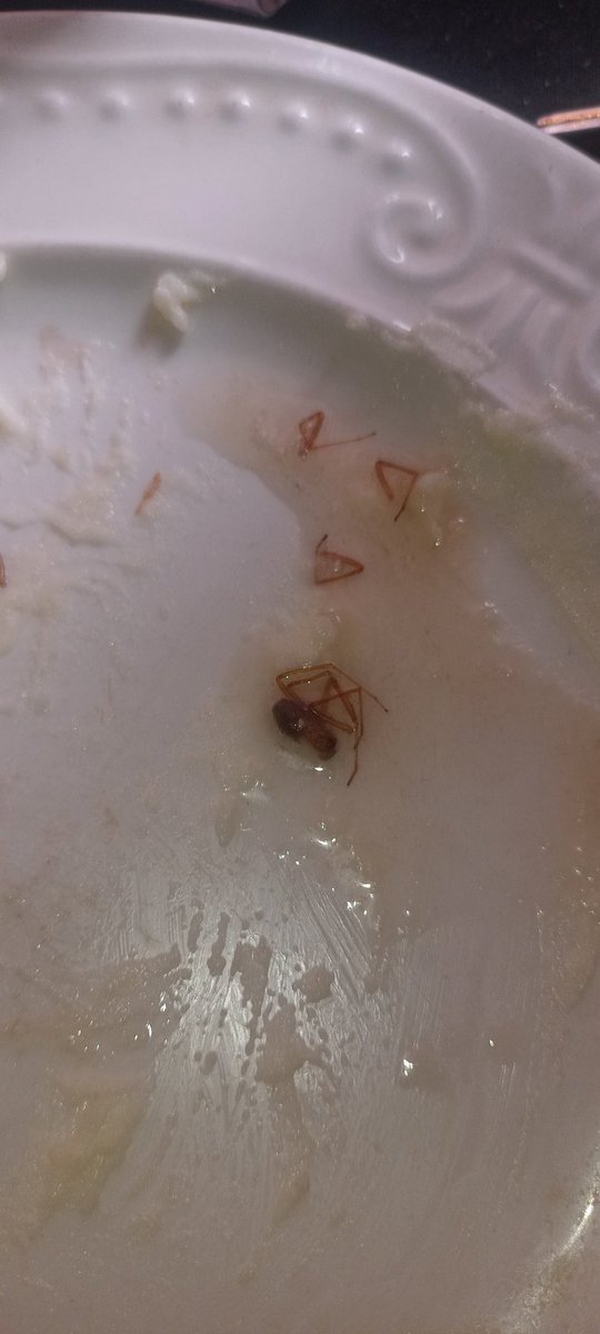 AbsoluteClear tweet media