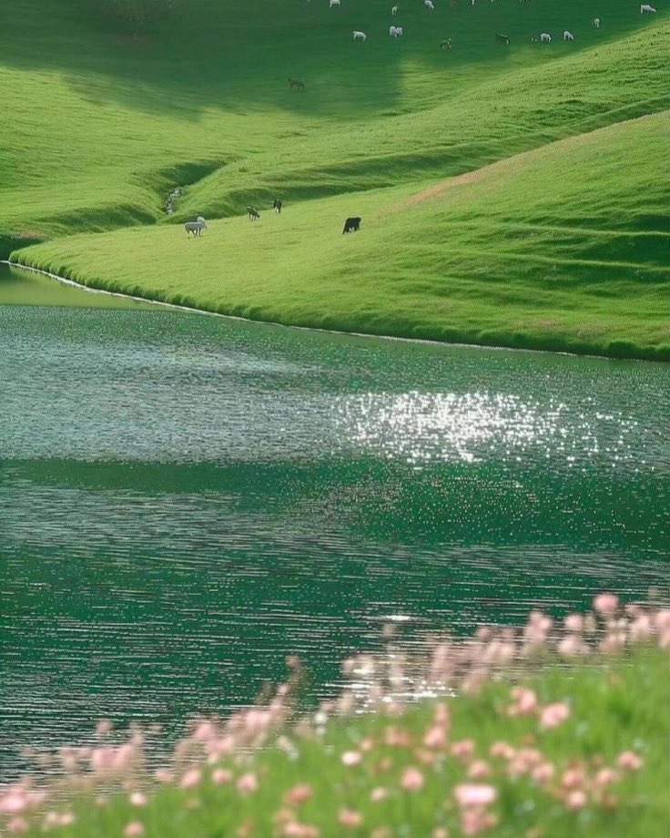 greendreaams's tweet image. 