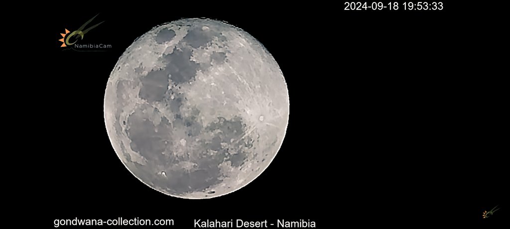 BillieWe27740's tweet photo. the moon in the Kalahari ๐คฉ๐คฉ#namibiacam https://t.co/aD58BWuwug