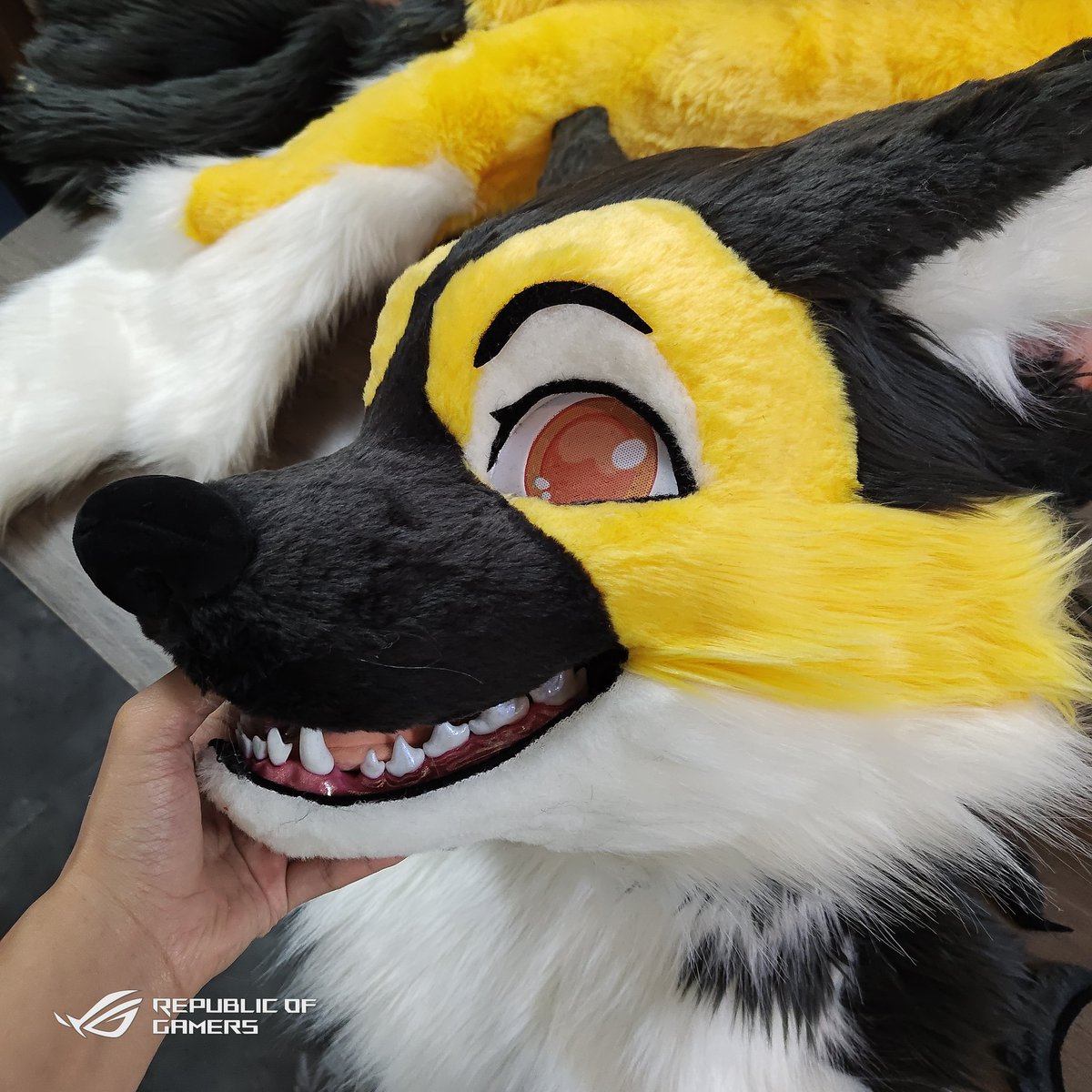 yeyajialan's tweet photo. Sharp teeth。#fursuit #yeya https://t.co/6ZIOp6aXTX