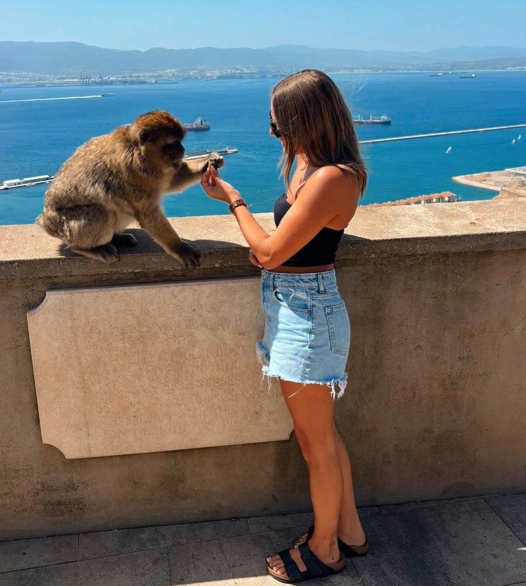 Olivia Buzaglo tweet media