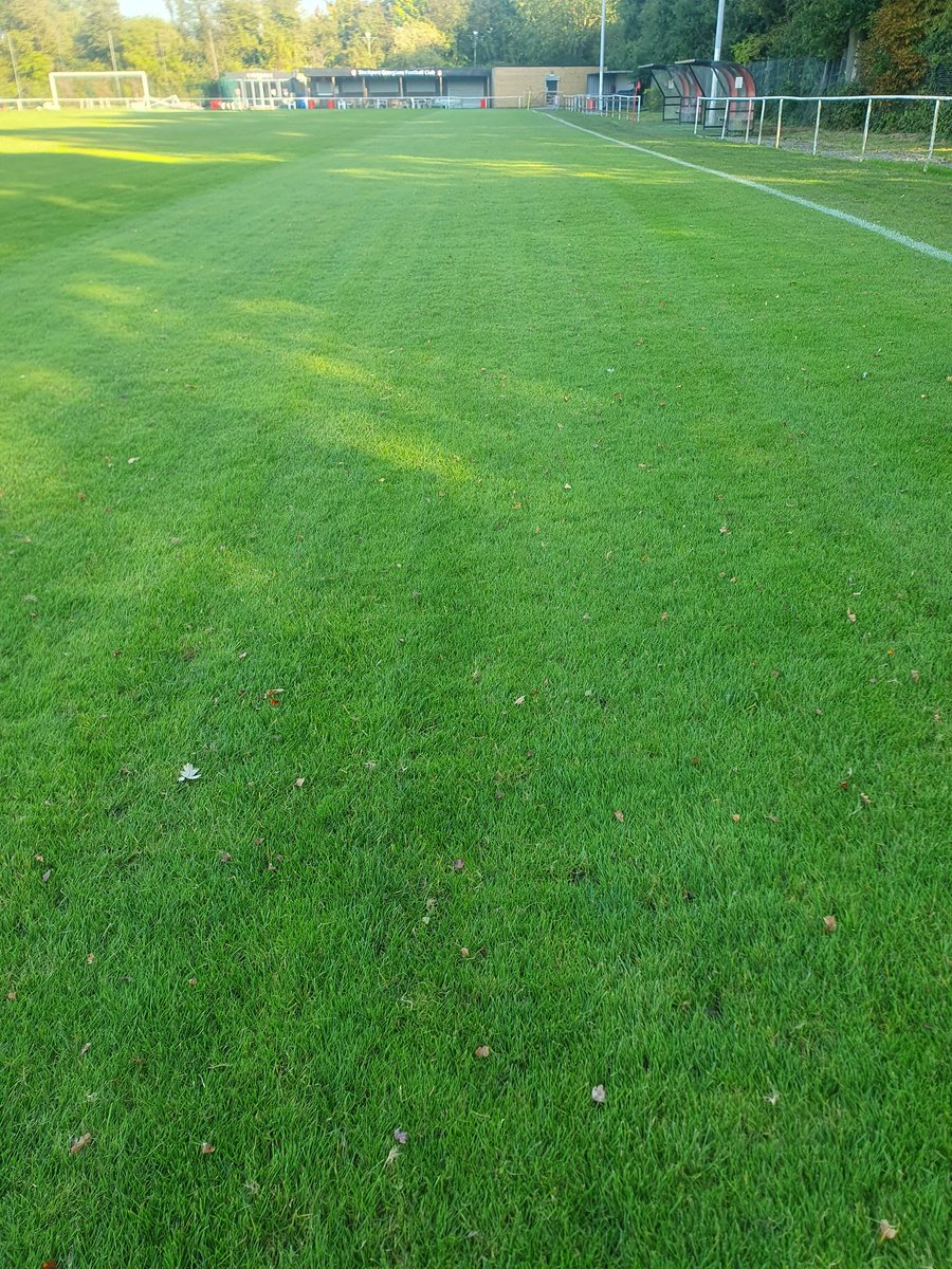 BrushesNwltd's tweet image. A entertaining evening  of spiking &amp;amp; brushing.
Gone deep as I can , soft enough with last Sundays washout.
#rocknroll #aeration #grasscutter