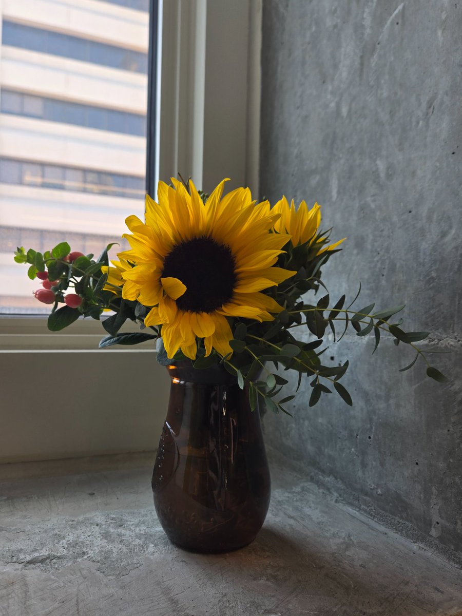 Dr Rebecca Bekker tweet media