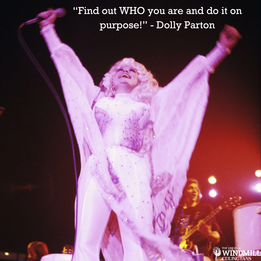 🏜The Original Windmill Ceiling Fans & Lighting Co (@windmillceilfan) on Twitter photo 