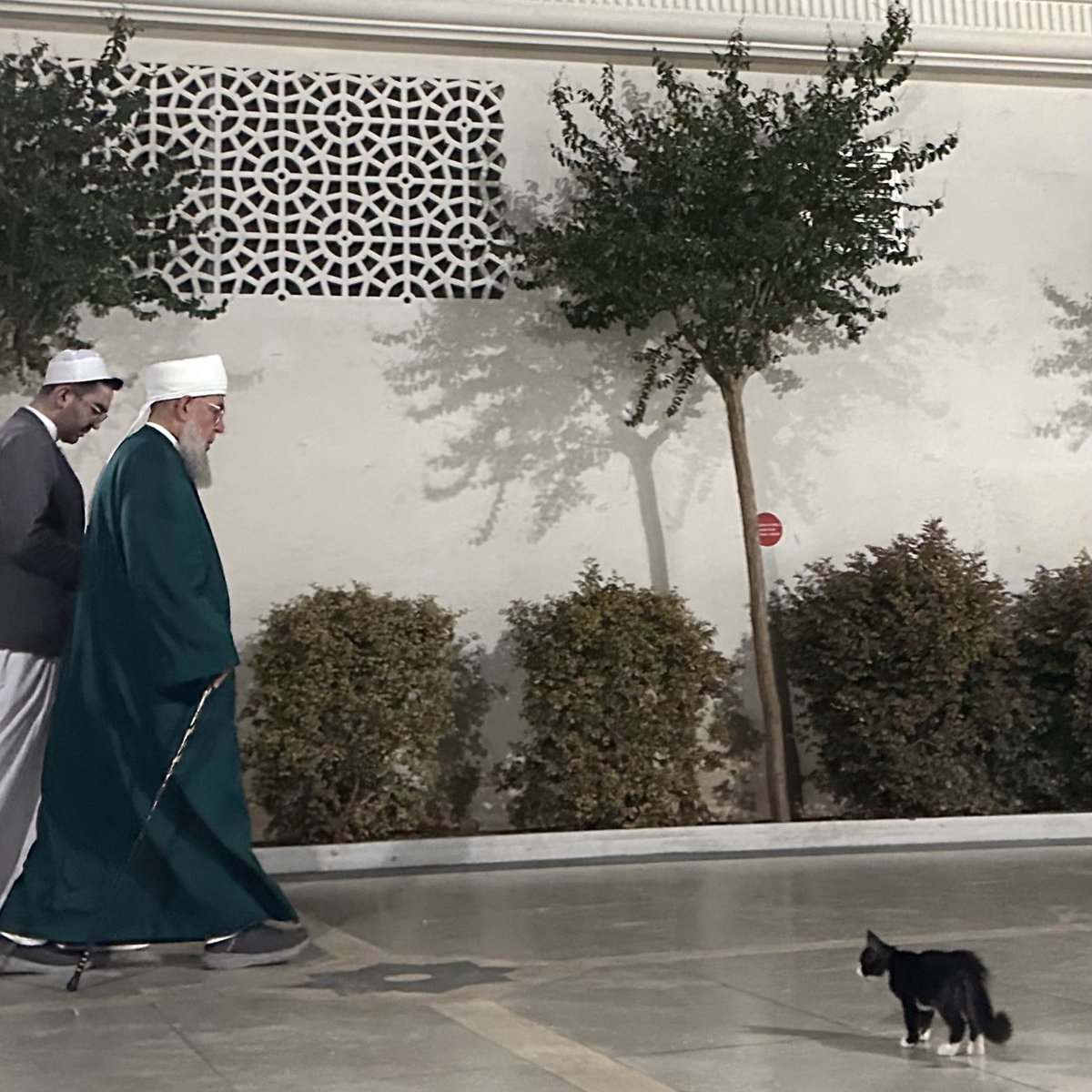demlaleyall's tweet photo. Âşk-ı Sâqî hâli Kalbi'me Dermanî Yâr'dır https://t.co/f3AbBGW9BG
