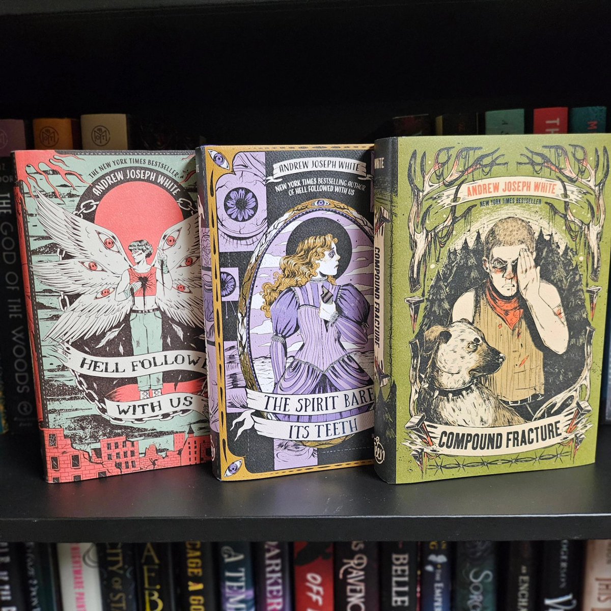 A little appreciation post for these ✨stunning✨ hardcovers. <a href="/AJWhiteAuthor/">Andrew Joseph White 🏴🏳️‍⚧️</a>'s novels are horrifying in a way that is so raw &amp; real. I can't wait to read compound fracture this fall. 
#Reading #Reader #ShowYourShelf #Shelfie