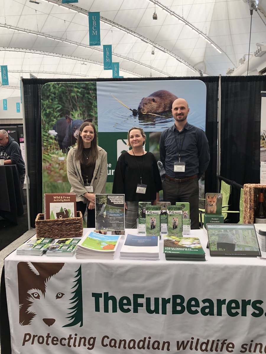 FurBearers's tweet image. The Fur-Bearers are at the UBCM Trade Show at the Vancouver Convention Center from September 18 - 19! Visit our booth to learn about wildlife issues and receive coexistence literature. We also have a draw for a gift basket featuring local BC wine! #UBCM24