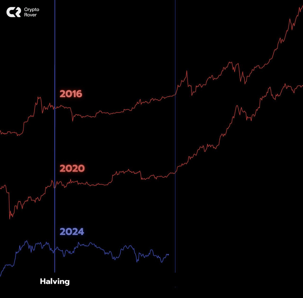 rektfencer's tweet photo. Bull Market Starts in 10-15 Days

Last bull run? $SOL, $MATIC, $DOGE all 100x’d in 90 days.

It's happening again.

All you need to do is to choose the RIGHT alts.

Here are the 10 I’m all in on 🧵👇 https://t.co/qy50dqWQOy