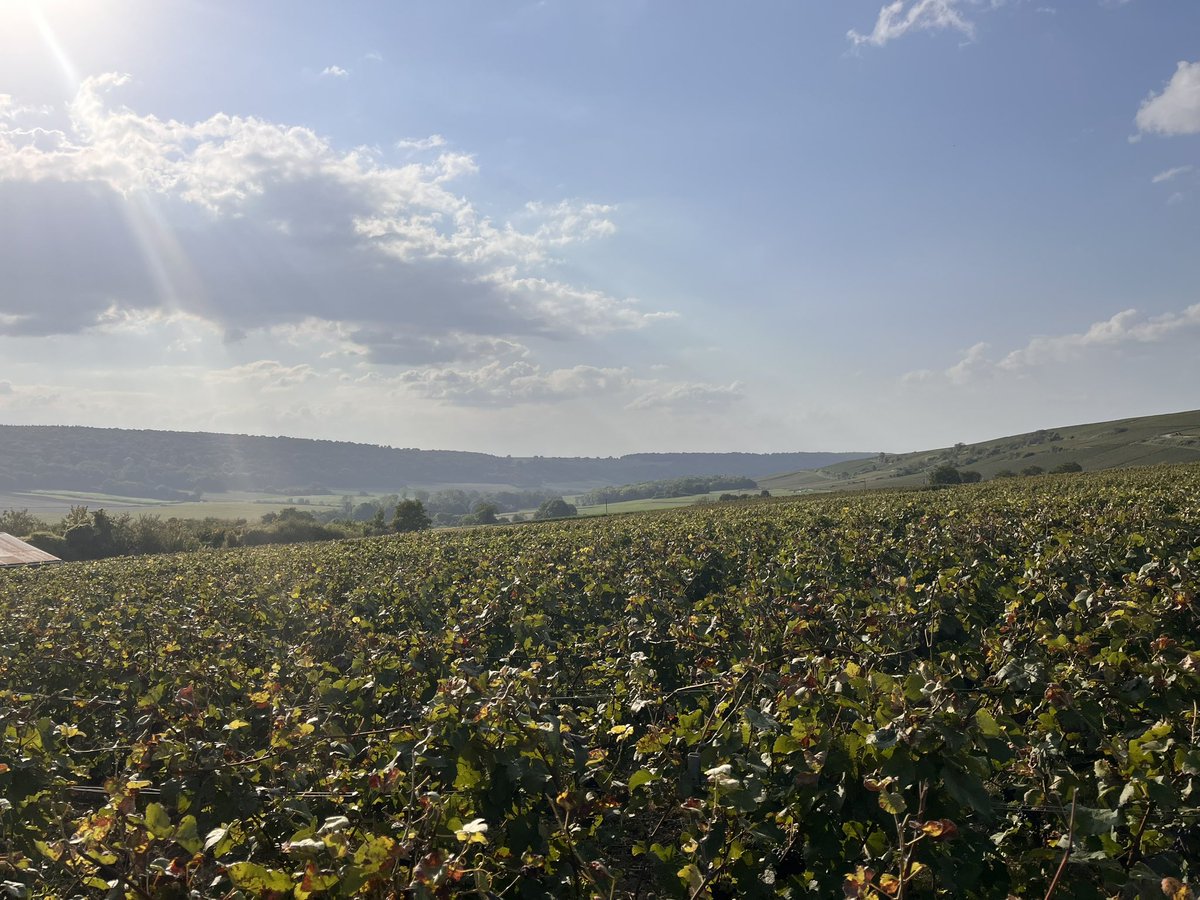 🇫🇷🔴daph🔴🇫🇷🇮🇱 tweet media