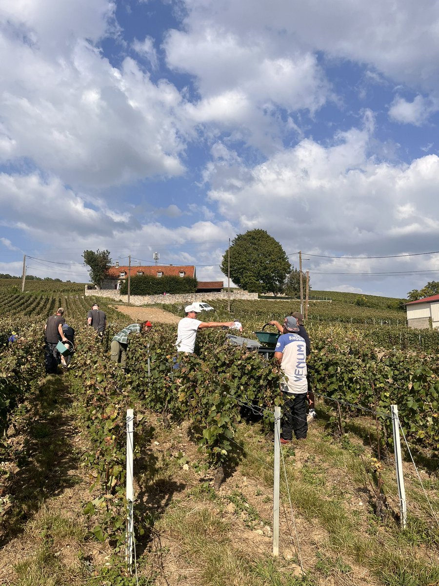 🇫🇷🔴daph🔴🇫🇷🇮🇱 tweet media