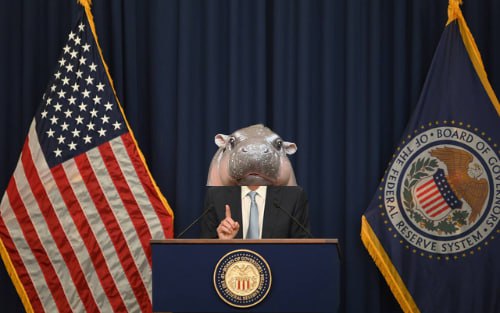 BREAKING: 🇺🇸 Moo Deng cuts interest rates by 50bps for the first time in 4 years. 

Begins presser with "Moon That"