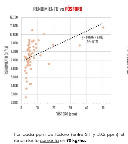 apfield_23's tweet photo. Regresión lineal entre RENDIMIENTO y Parámetros de suelo: Materia Orgánica y Fósforo. 

Los datos se extrajeron del mapa de rendimiento con un buffer de 40 metros de cada estación de muestreo. 

Hay datos de dos bloques de campos y lotes. https://t.co/nymlieyI2e