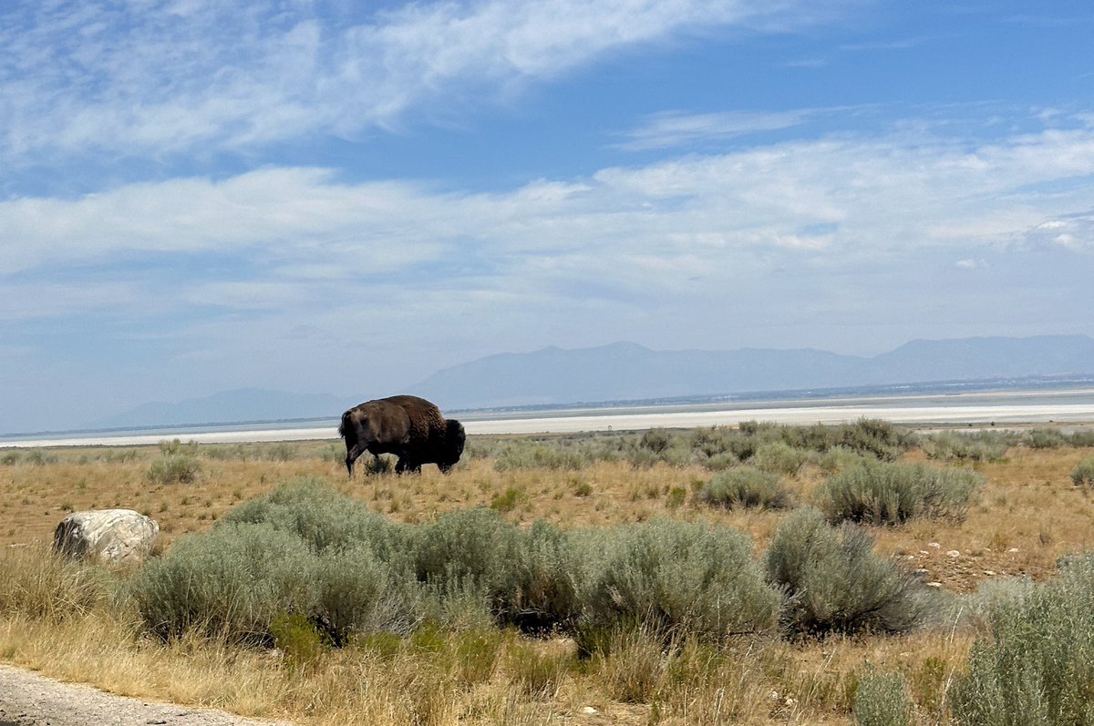 Utah Division of State Parks tweet media