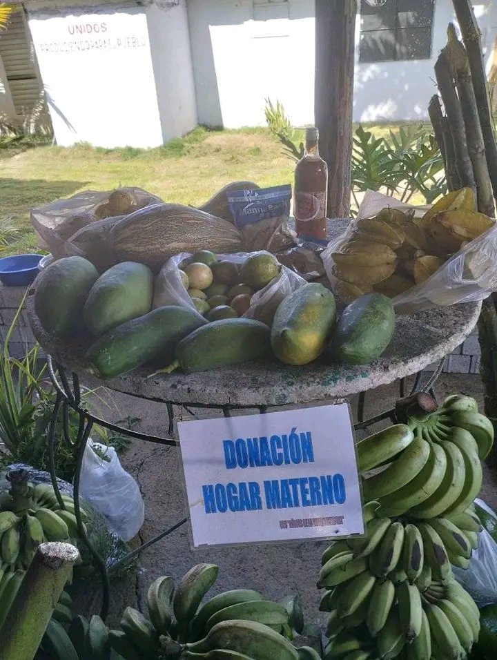 HectorMichel85's tweet photo. Asamblea de Asociados de la ANAP en la CCS Héroes del Sierra Maestra
#LaHabanaViveEnMi https://t.co/PV8O7NoBH7