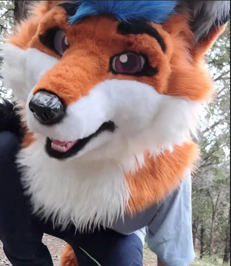 Falona_Fox tweet media