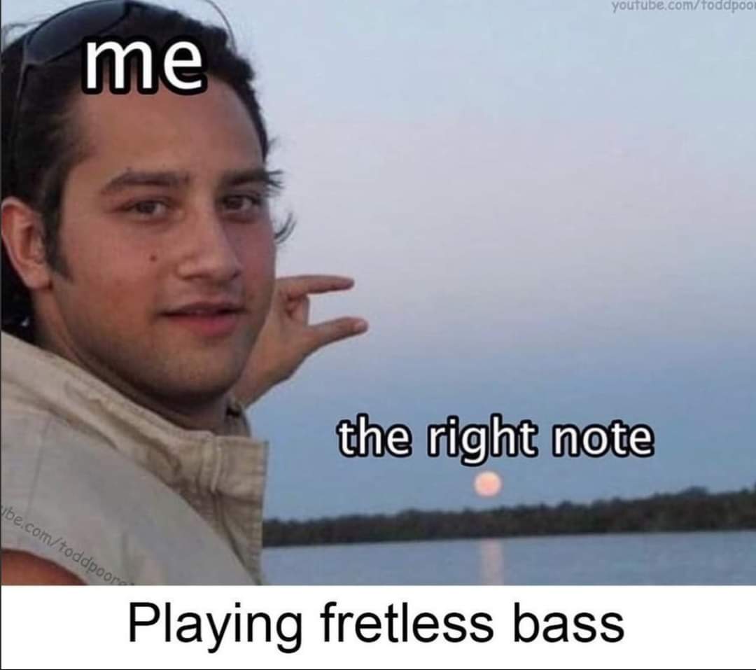 Moat Lowe tweet media